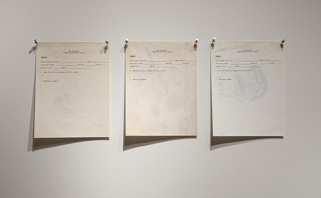 Family Portrait on Student Evaluation of Faculty Forms, 2013